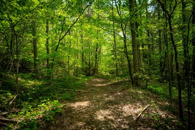 _DSC3793