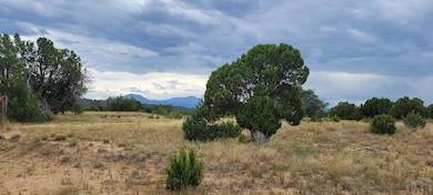 Lot 896 Los Vaqueros Cir, Walsenburg, CO 81089 - photo 2