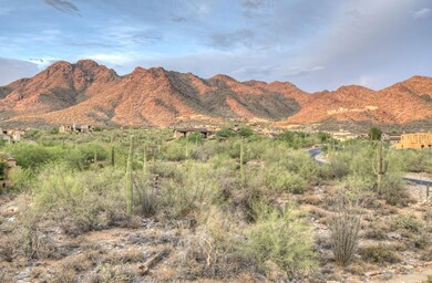 McDowell Mountain Views