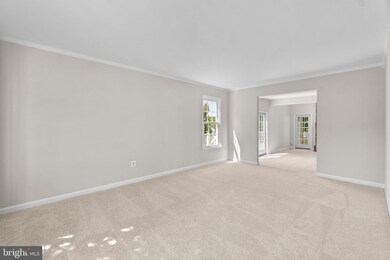 7812 Flagstone Ct, Ellicott City, MD 21043 - photo 5