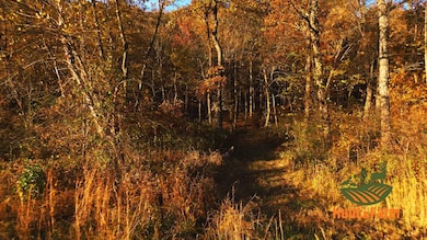 000 Garden of the Gods Rd, Herod, IL 62947 - photo 6