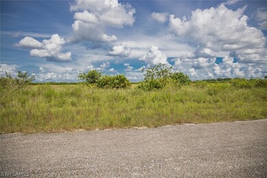 775 Naples Ave S, Lehigh Acres, FL 33974 - photo 6