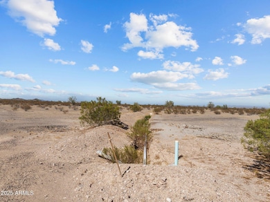 39003 Avenue 41 E, Salome, AZ 85348 - photo 5