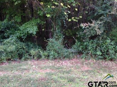 3965 Charleston Park, Tyler, TX 75701 - photo 4