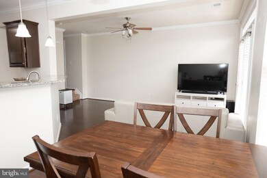 25223 Briargate Terrace, Chantilly, VA 20152 - photo 7