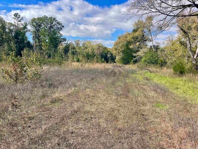 000 Blaty Rd, Lamar, AR 72846 - photo 5