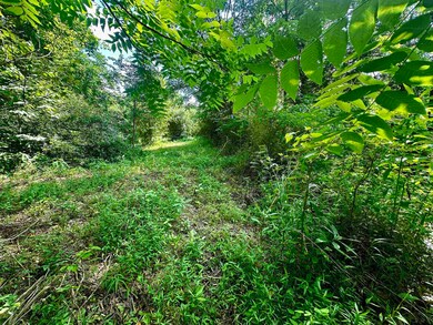 Tract #5 Holt Rd, Louisa, KY 41230 - photo 6