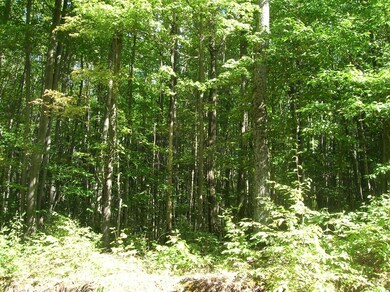 0 White Ash Trail unit (Parcel 64) 302957, Vanderbilt, MI 49795 - photo 2