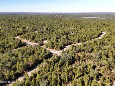 0 Overton Dr, Chipley, FL 32428 - photo 6