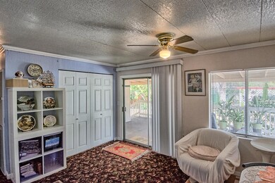 eagle nest-113