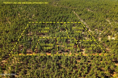 915BirdsongWay-Lakeside-AZ-ParcelLines-1