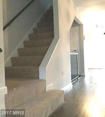 3518 Cherry Hill Ct, Beltsville, MD 20705 - photo 4