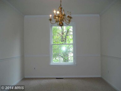 1213 E Randolph Rd, Silver Spring, MD 20904 - photo 4