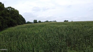 0 Clark Rd unit 1209395, Rutledge, TN 37861 - photo 5