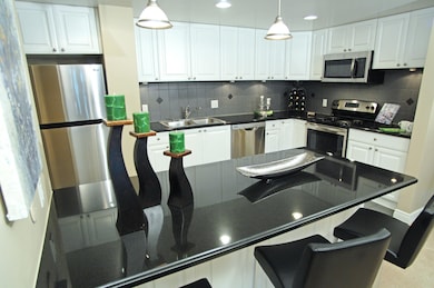 4. KITCHEN GRANITE COUNTERS STAINLESS AP