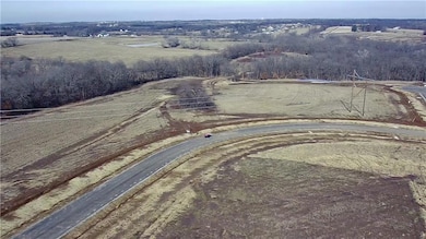 14502 Stringtown Cir, Lake Lotawana, MO 64086 - photo 6