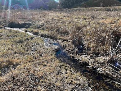 TBD Pilot Rd, Christiansburg, VA 24073 - photo 3