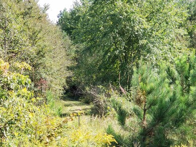 View of nature