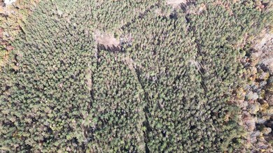 County Road 9, Bruce, MS 38915 - photo 4