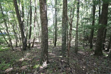 159 Majestic Dr, Chestnuthill Township, PA 18353 - photo 7