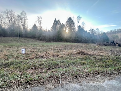 Lot 11 Hensley Rd, East Bernstadt, KY 40729 - photo 4