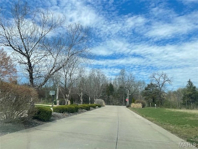 570 Fairway Dr unit Lot 22, Union, MO 63084 - photo 6