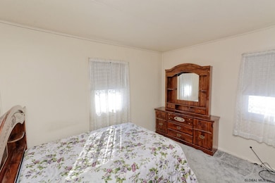 20 Mayhall St, Albany, NY 12205 - photo 5