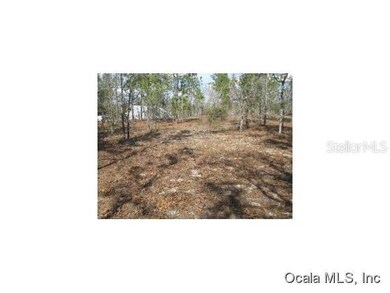 0 SW Hilliard Ave unit 422642, Dunnellon, FL 34431 - photo 2