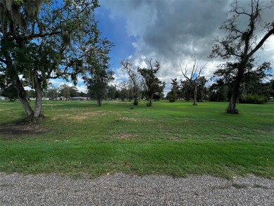 0 N County Road 707 unit 35804445, Brazoria, TX 77422 - photo 5