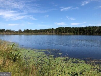 0 Old MacOn Rd unit 20156110, Dublin, GA 31021 - photo 2