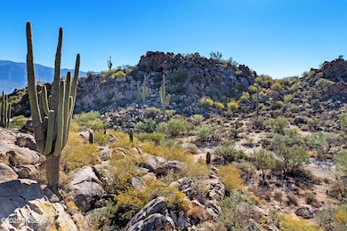 867 W Granite Gorge Dr unit 327, Oro Valley, AZ 85755 - photo 3