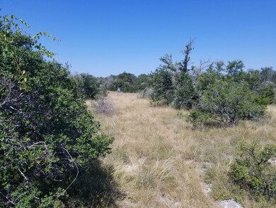 168 Acres In Kendall County, Sisterdale, TX 78006 - photo 4