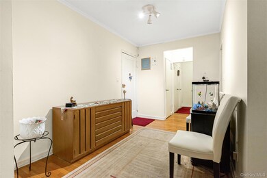 George Washington Apartments unit D43, Forest Hills, NY 11375 - photo 5