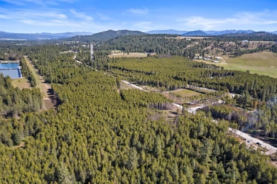 4015 Black Pine Way, Springdale, WA 99173 - photo 5