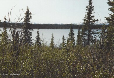 000 Lake Louise Rd, Glennallen, AK 99588 - photo 2