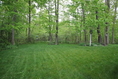 Private, wooded yard