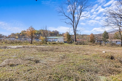 3000 McGill Cemetary Rd, Chattanooga, TN 37419 - photo 3