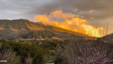 727 Autumns Peak Way, Sevierville, TN 37876 - photo 3