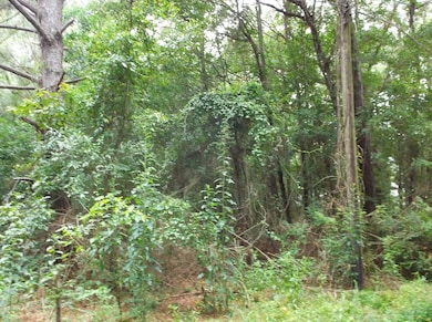 534 11th St, McComb, MS 39648 - photo 4