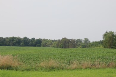 00005 County Road 14 NE, Spruce Hill Township, MN - photo 3