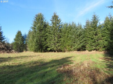 0 Cousins Rd unit 3 17223585, Chehalis, WA 98532 - photo 3