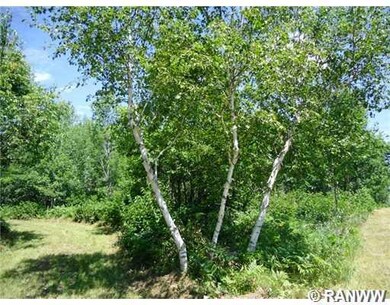 0 Dake Rd unit 892816, La Follette Township, WI 54893 - photo 3