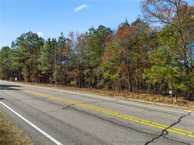 2746 Union Church Rd, Carthage, NC 28327 - photo 3