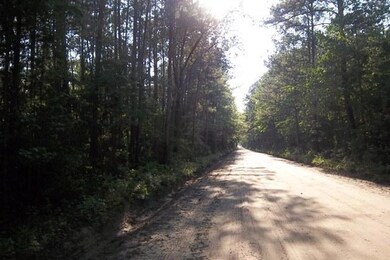 Road View