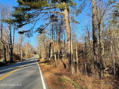 110 Middle Rd unit Lot 2, Lake George, NY 12845 - photo 2