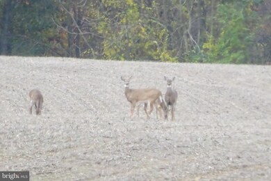 12052 Grant Shook Rd, Greencastle, PA 17225 - photo 5
