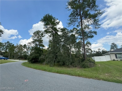 View of corner lot &  neighbor's fenced yard