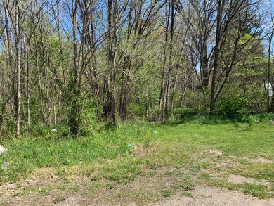 0 Sawyer Rd unit 21014800, Sawyer, MI 49125 - photo 4