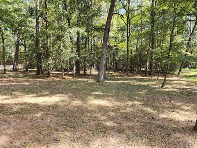 107 Sundew Ct, Magnolia, TX 77355 - photo 5