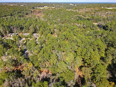 306 Inverness Dr, Huntsville, TX 77340 - photo 4